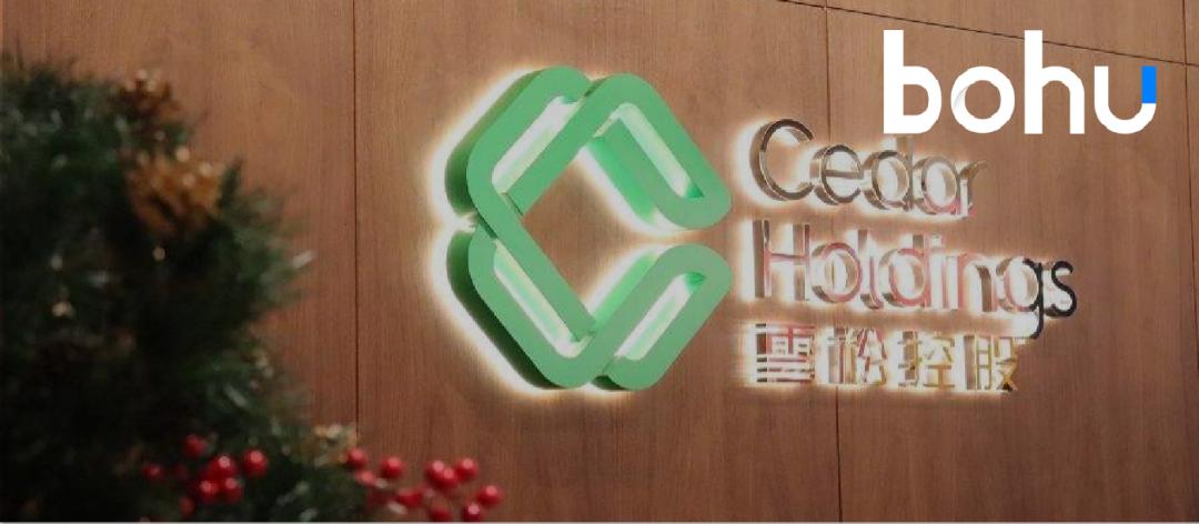 雪松爆雷对投资人是好还是坏,雪松控股爆雷投资人需报案吗