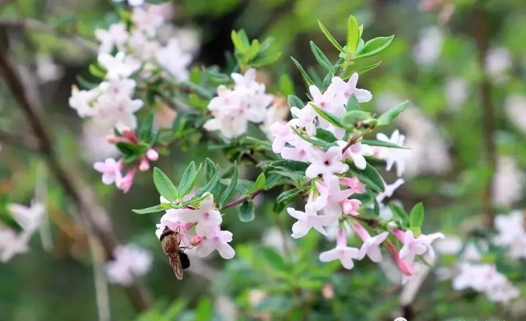 遇见20岁的男孩,遇见20年前的人