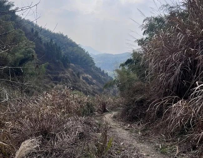 善待自己的“小兄弟”-TACLAB“冰人”*裤内**丨评测