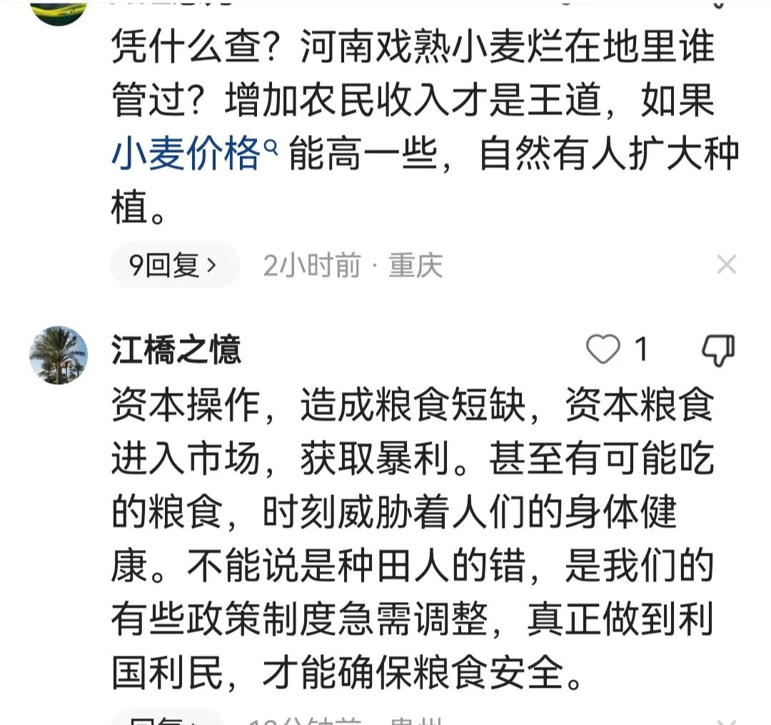 小麦种植青苗费用,农民大量卖小麦青苗