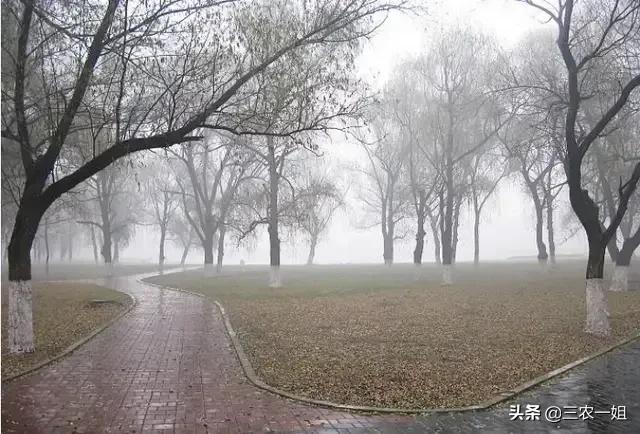 天气预报说这几天都会下雨含义,天气预报下雨预示什么