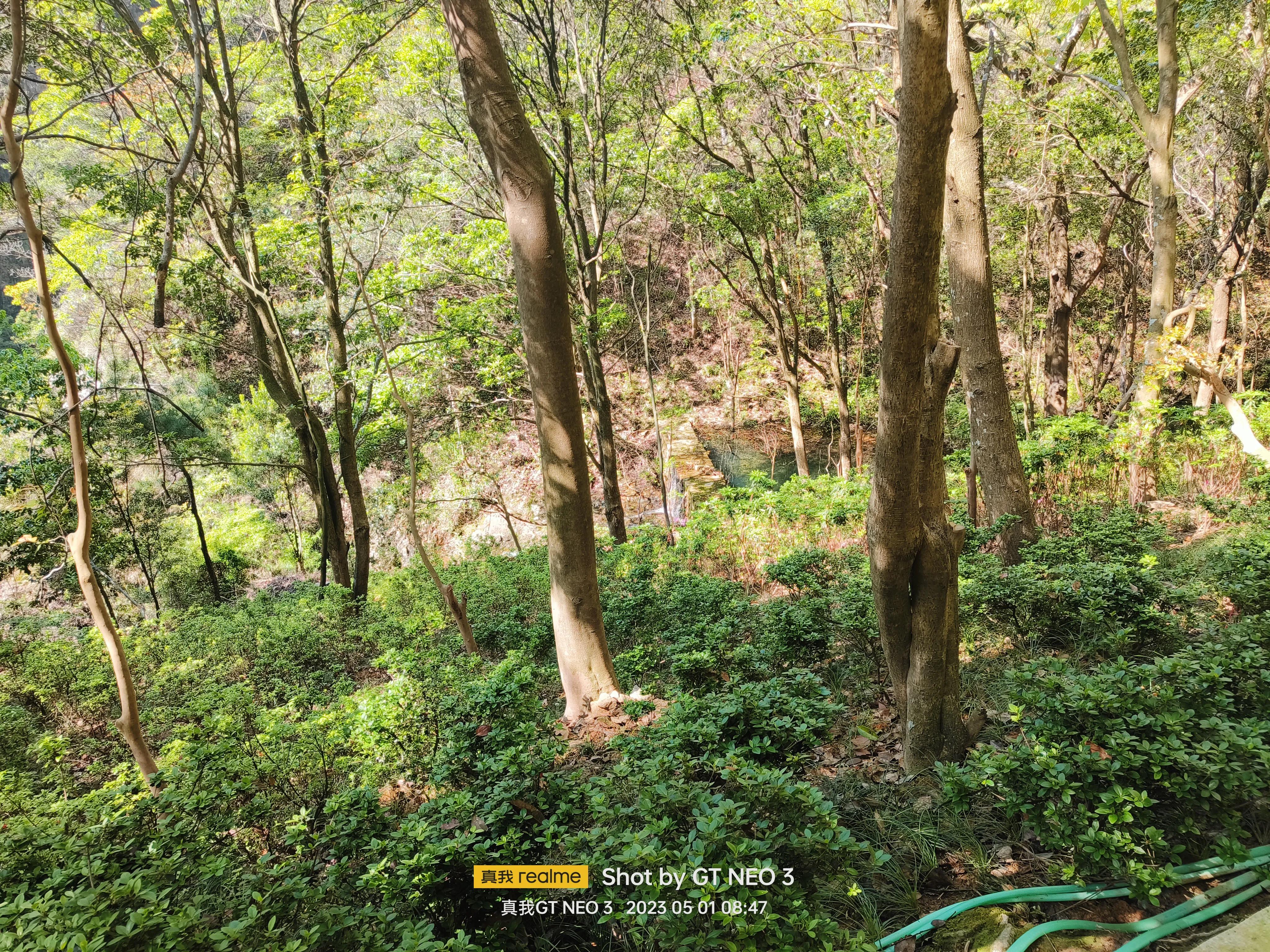 雁荡旅游日,雁荡二日游亲子