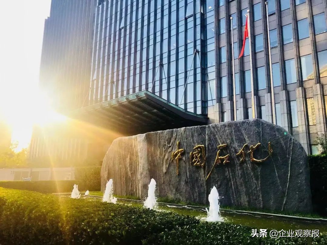 中石化净利润分析,中国石化2021半年业绩快报