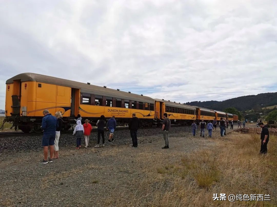 但尼丁火车站简介,新西兰但尼丁城市简介