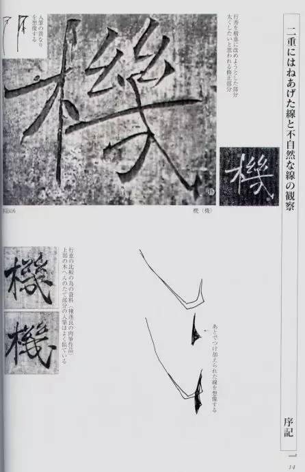 宸ョ瑪鐢绘潹鏅箟鐢诲唽,鏉滈箖鏉ㄦ櫘涔夊畬鏁寸増