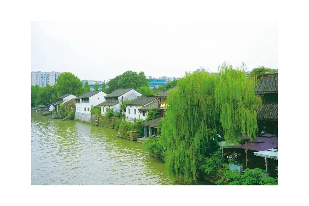生活在杭州,生活在浙江杭州是什么体验
