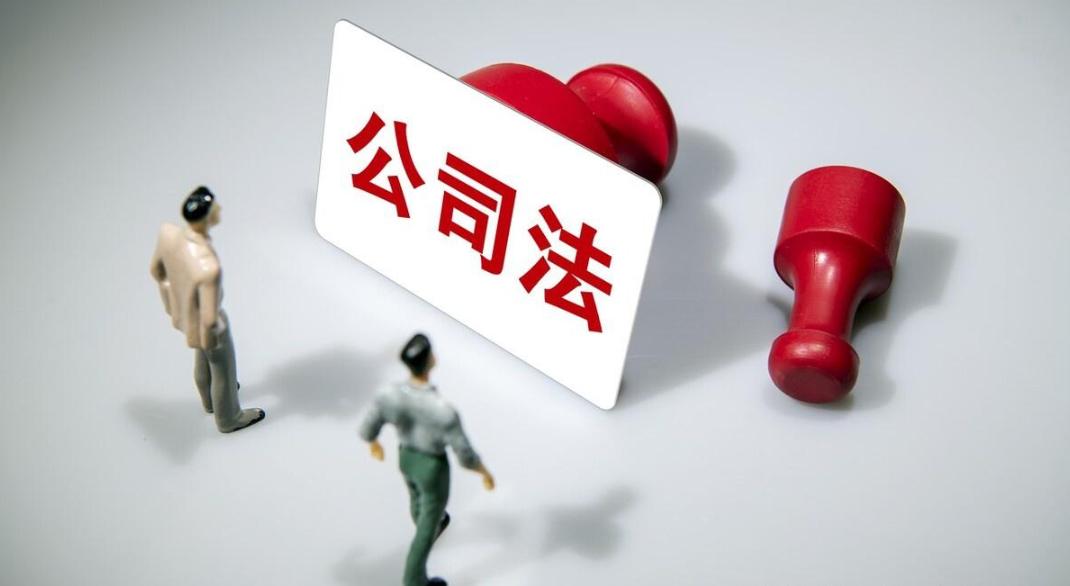 丁某、龙某、张某诉大地公司决议撤销纠纷案之评析