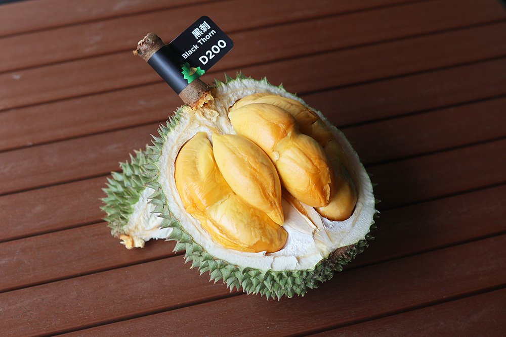 外国水果运到中国,澳洲水果出口中国