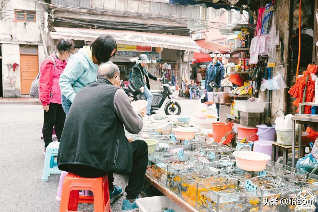 广州清平市场哪家好,清平市场攻略