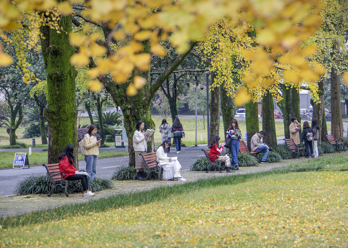 四川农业大学自考靠谱吗,四川农业大学自考本科