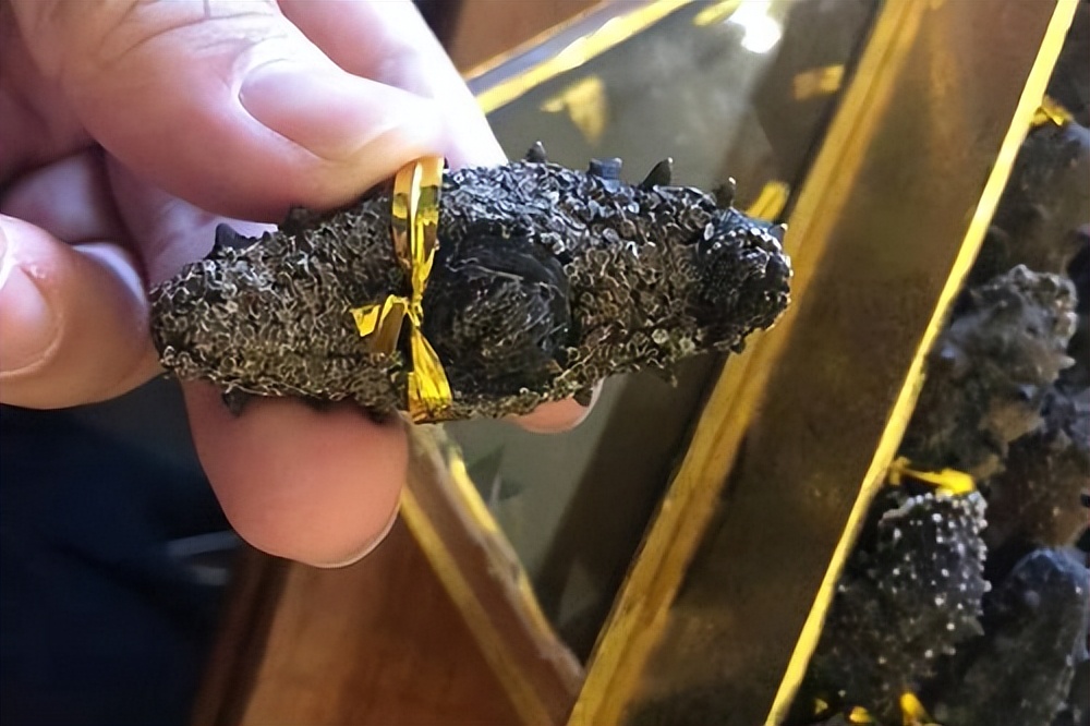 春节吃海参有什么讲究,送礼送干海参还是即食海参好