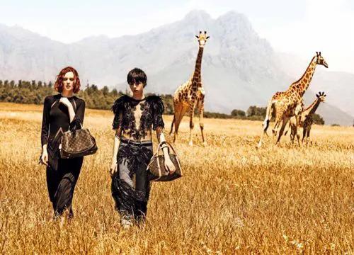 微商正品到哪买,微商网上都在哪里进货