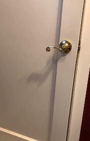 但凡给狗*载下**一个反诈APP，它都不至于被骗这么久