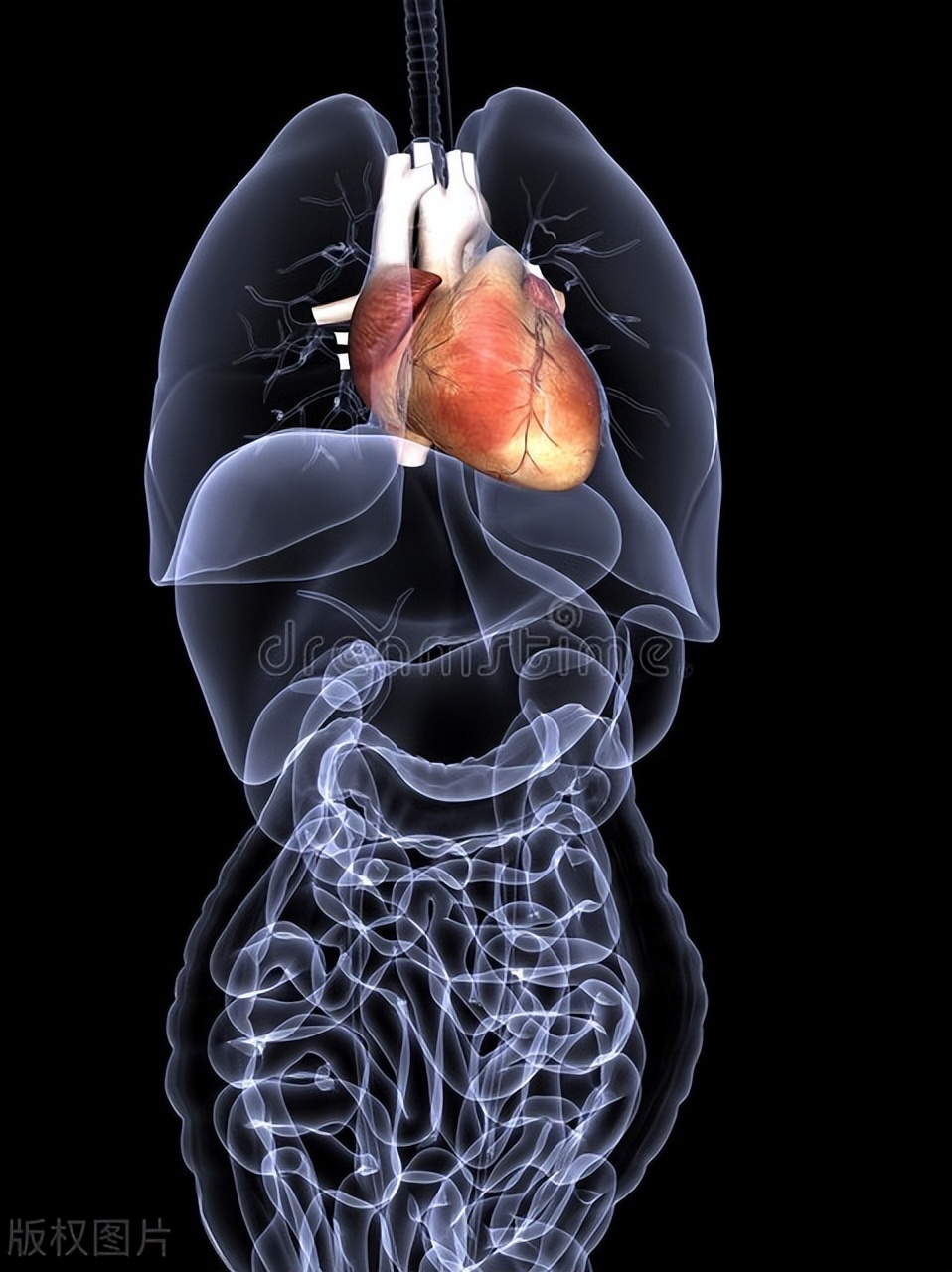 吸烟到底有多大几率会得肺癌,长期吸烟得肺癌的几率多大