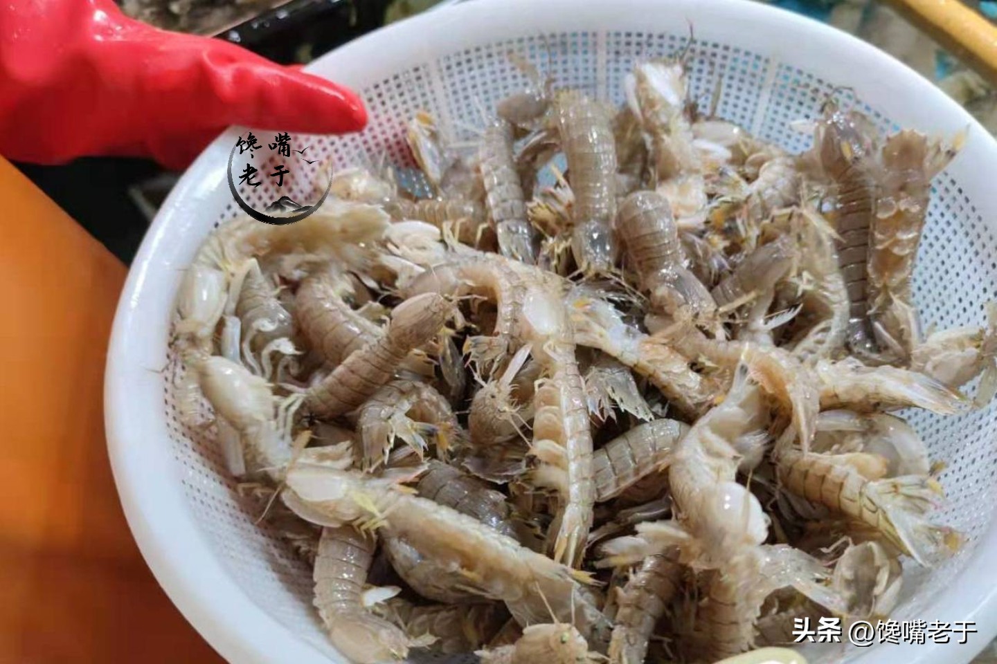 在市场上买皮皮虾怎么看才是新鲜,皮皮虾怎么吃老渔民悄悄告诉你