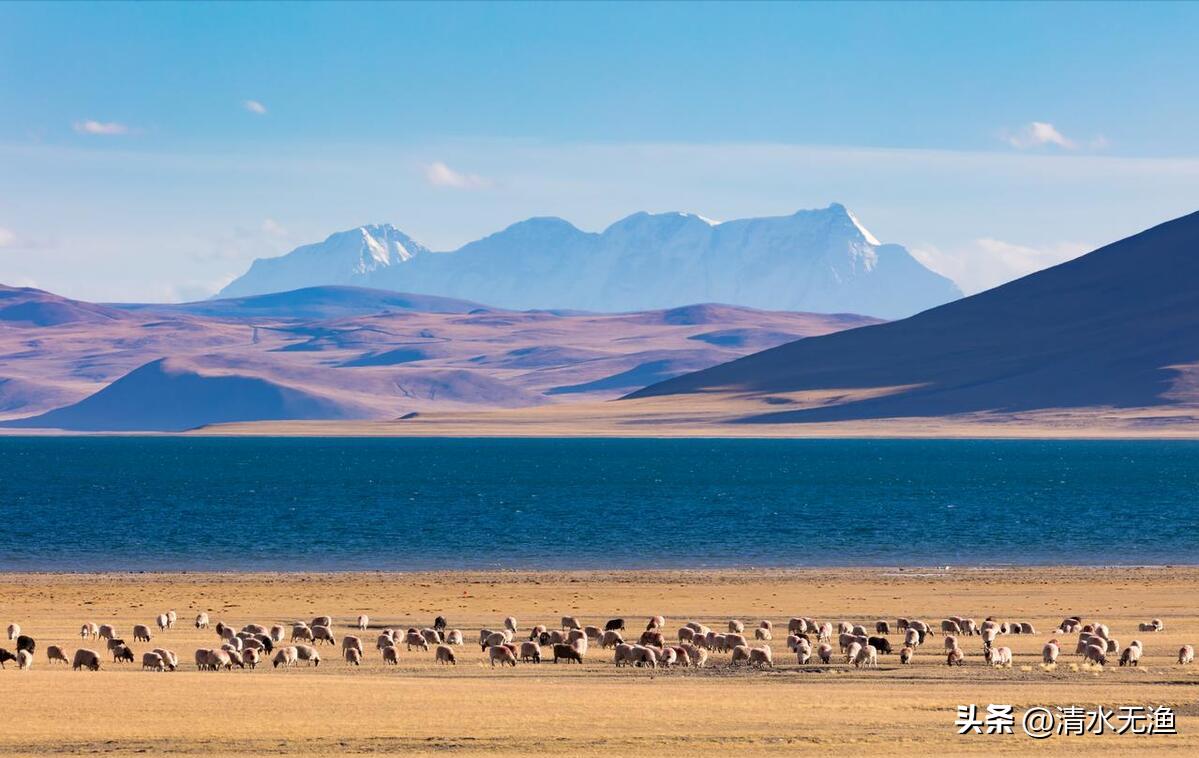 上海有到西藏的火车吗,上海有一趟火车直达西藏