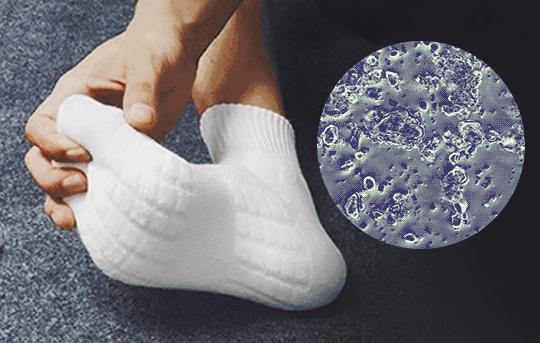 除臭剂成分是什么,除臭剂的成分