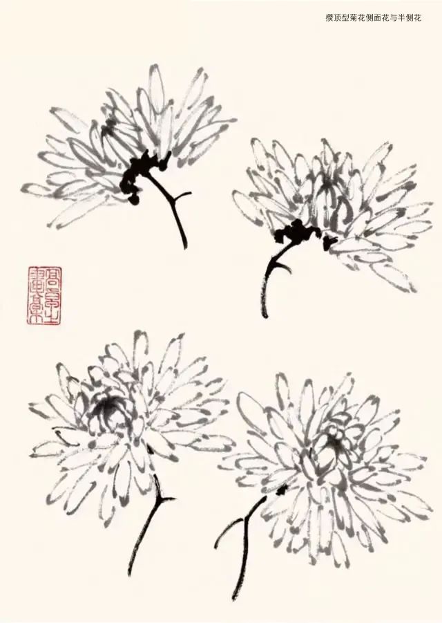 詹仁左写意菊花画法,陈半丁菊花写意画法