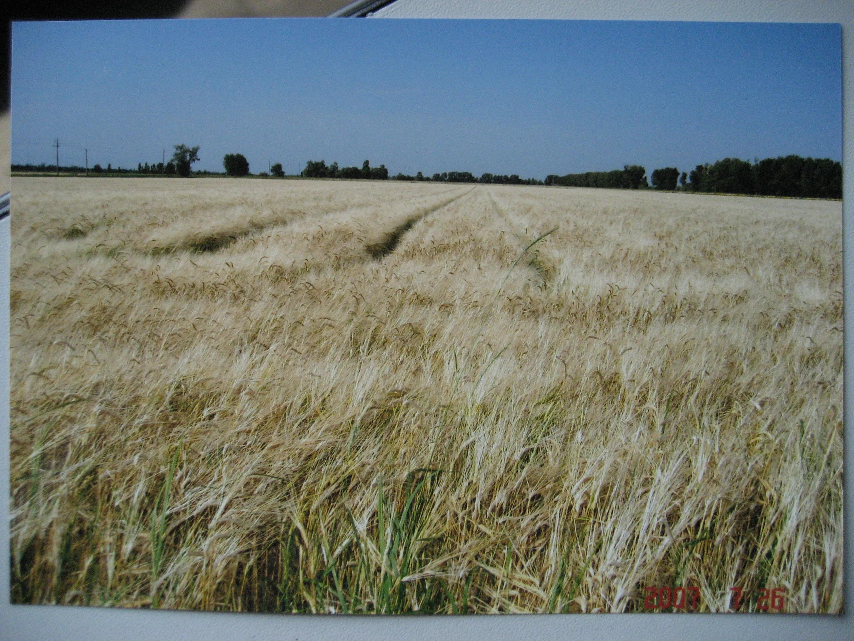 13年副营长,21营副营长