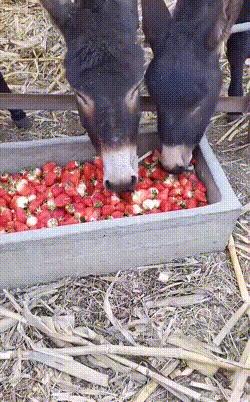 “老婆出差在宾馆给我发照片，桌子上那个是胶水吗？”哈哈哈哈