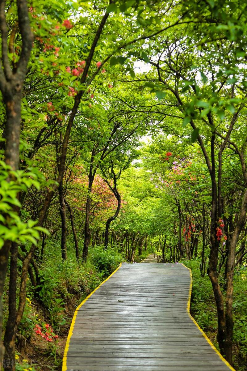 长沙最火十大网红景点,长沙十大著名景点排名