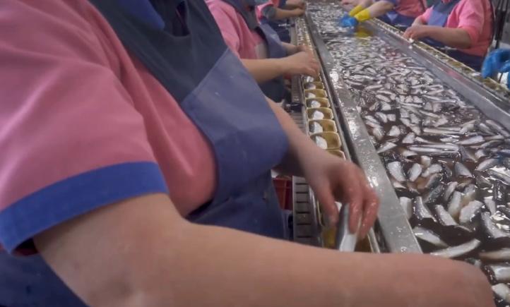 世界第一个马口铁罐头,世界第一家鱼肉罐头