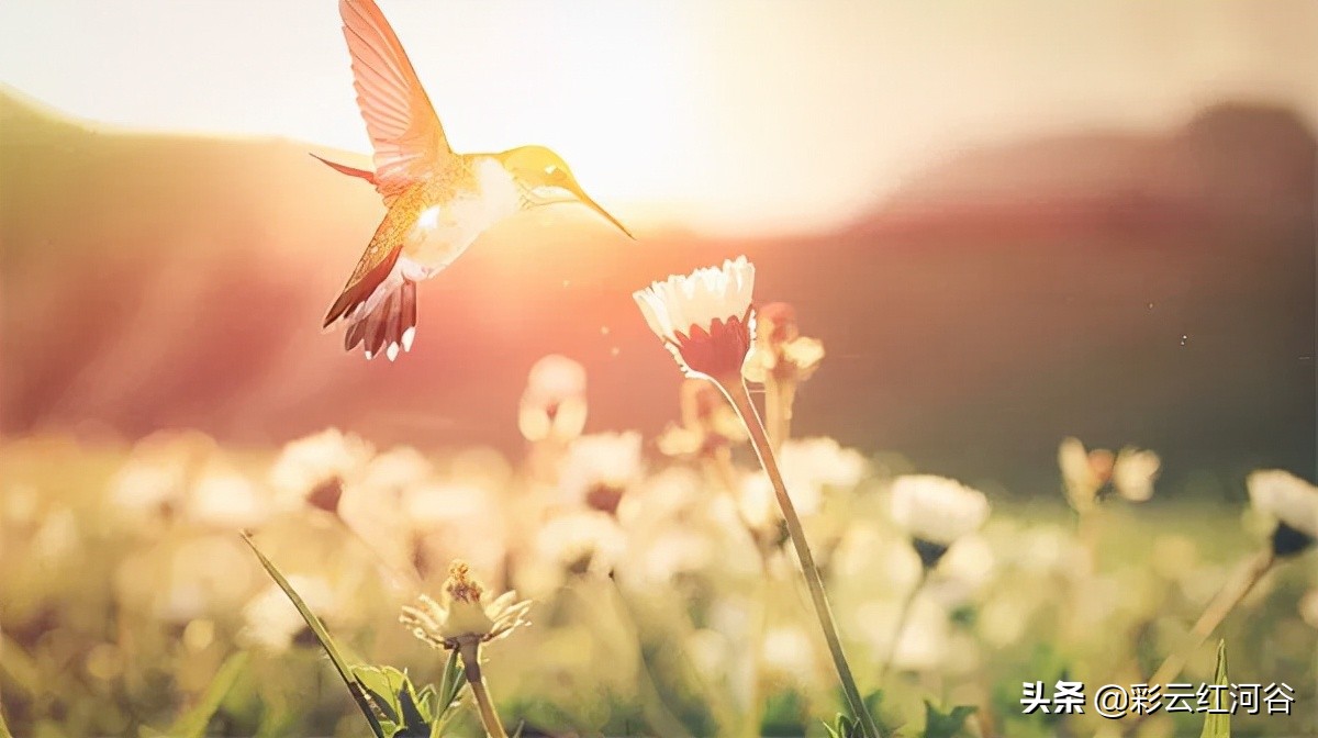 自我介绍学到什么,这份自我介绍秘籍你学到了吗