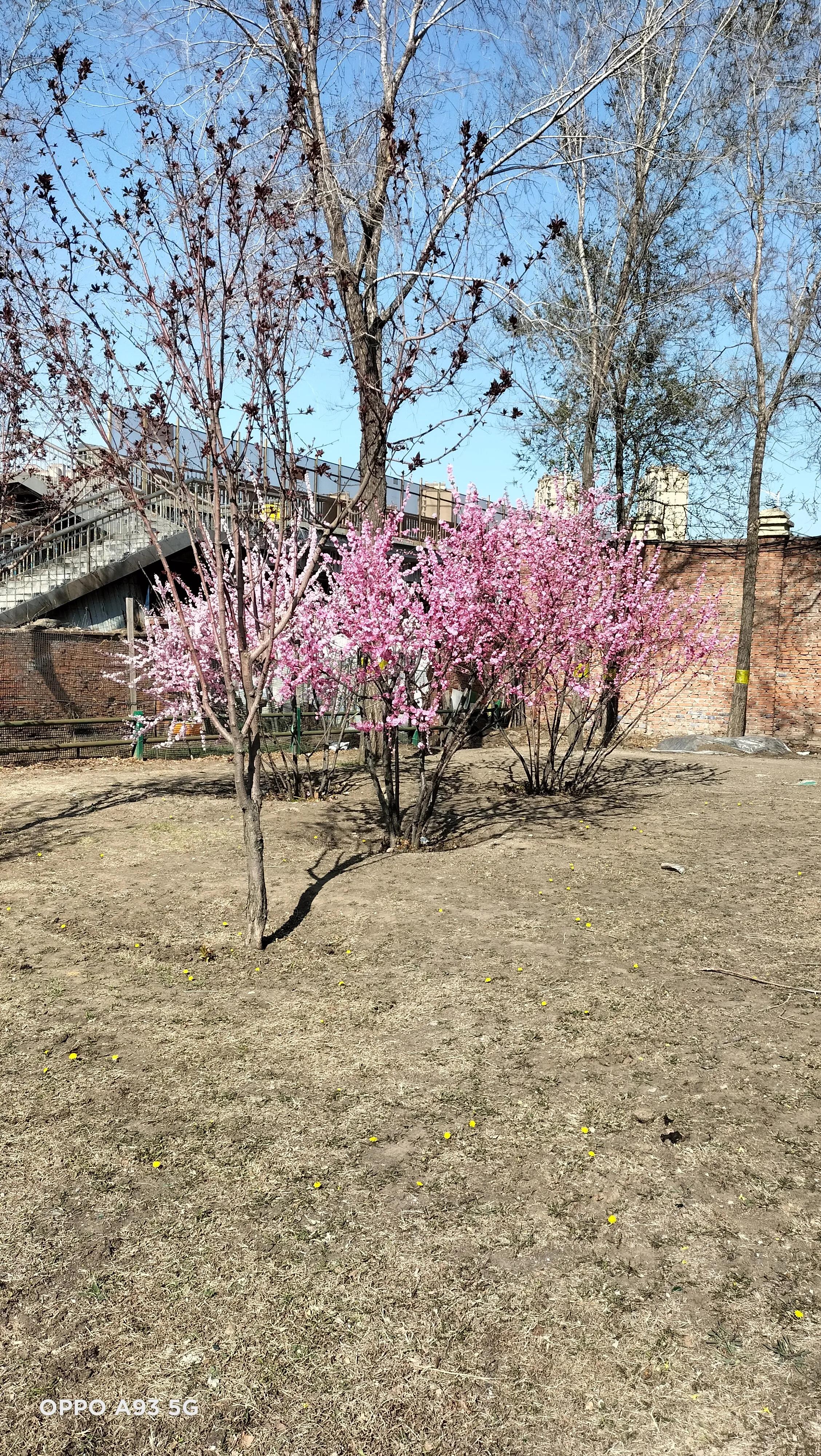 家的故事装修公司,家的故事游戏