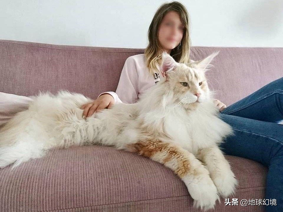 10种最罕见的神秘生物,35种罕见生物照片