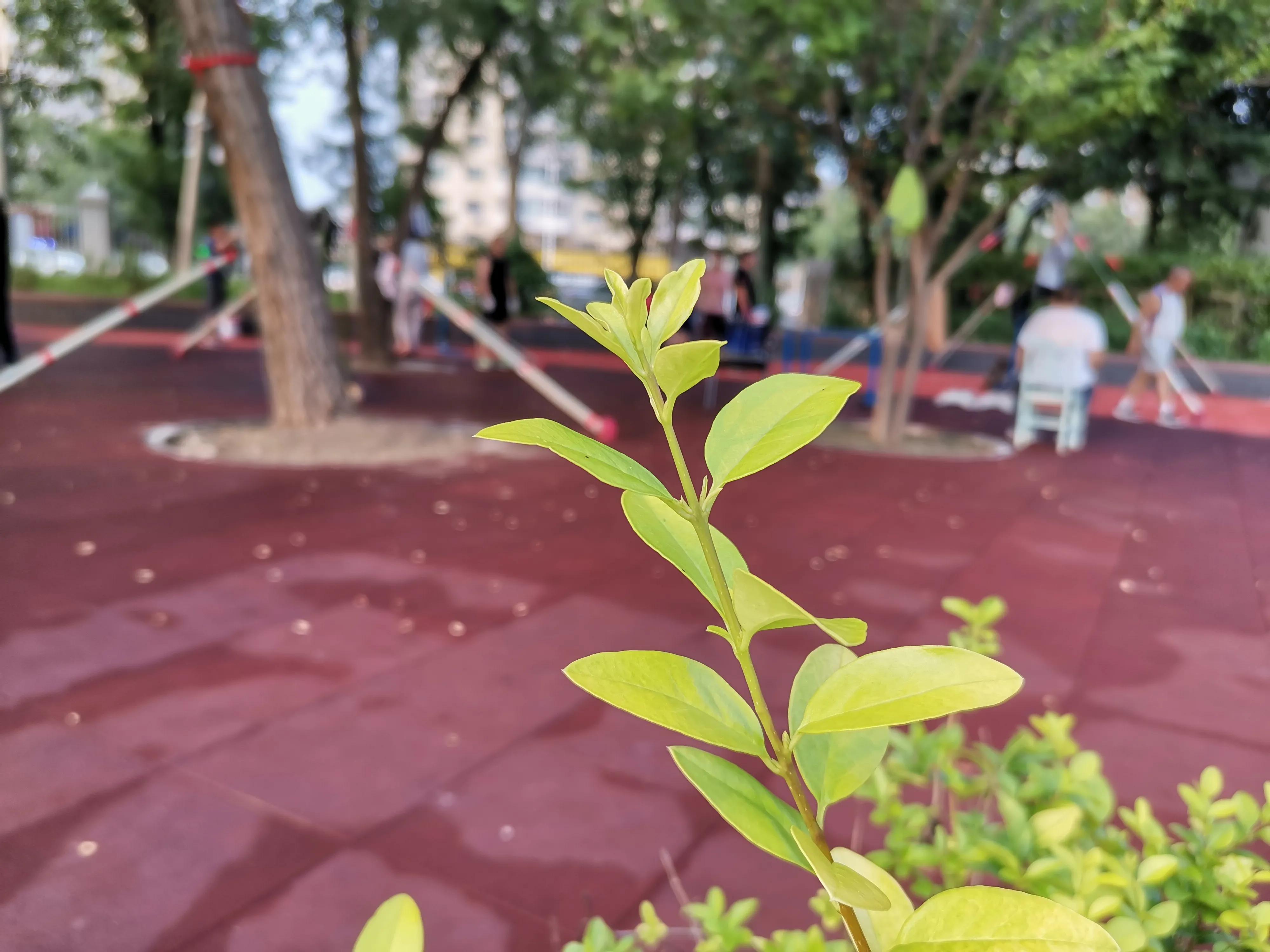 2022年天津市公园健身大会通知,天津全民健身中心