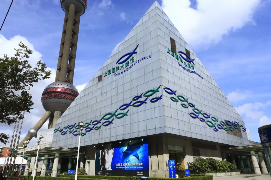 上海六一儿童节去哪儿最合适,六一儿童节沪上遛娃打卡指南来了