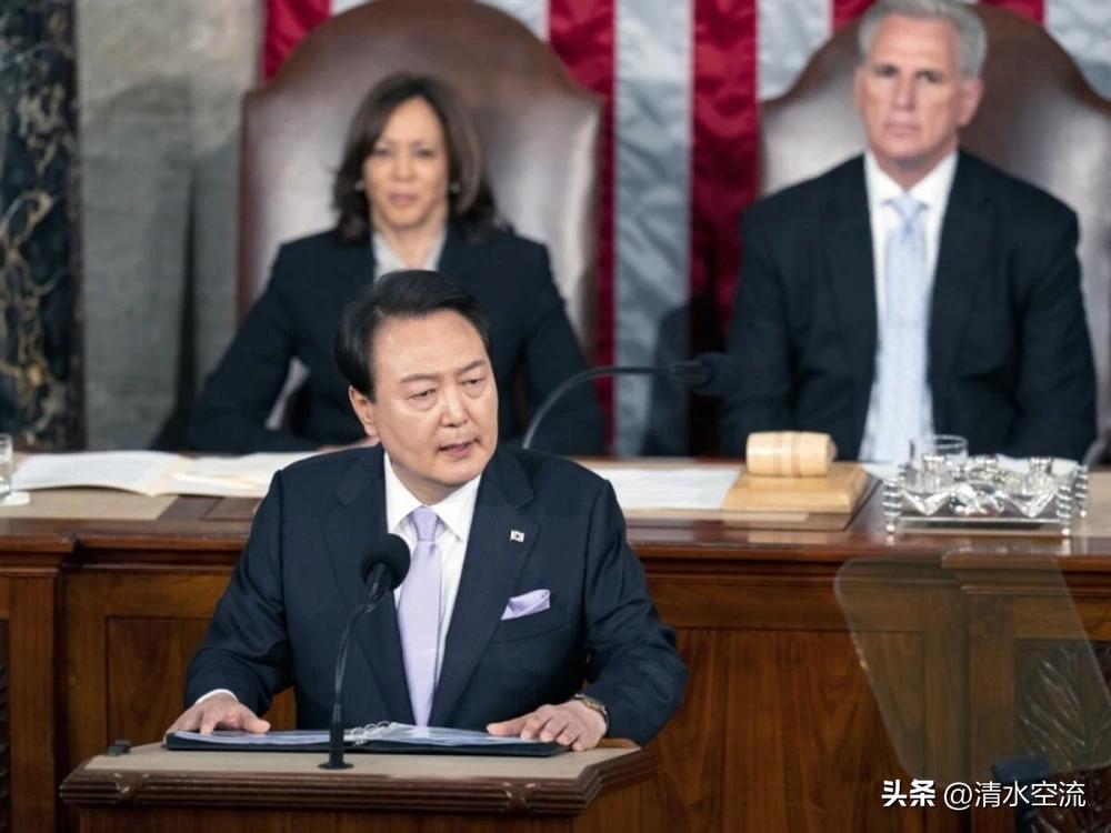 韩国是典型的小姐身子丫鬟命，没有公主的命却得了公主的病