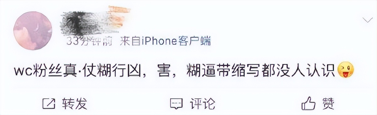 魏晨梗王稳定发挥,新晋梗王魏晨完整版