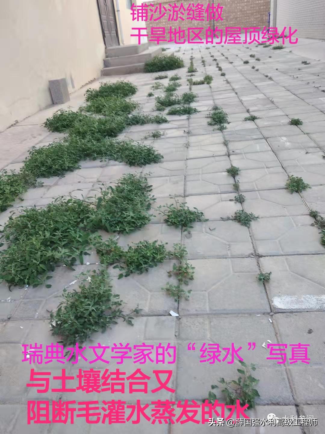 柴尔红、薛国强：我国水资源治理深度思考之西北篇（二）