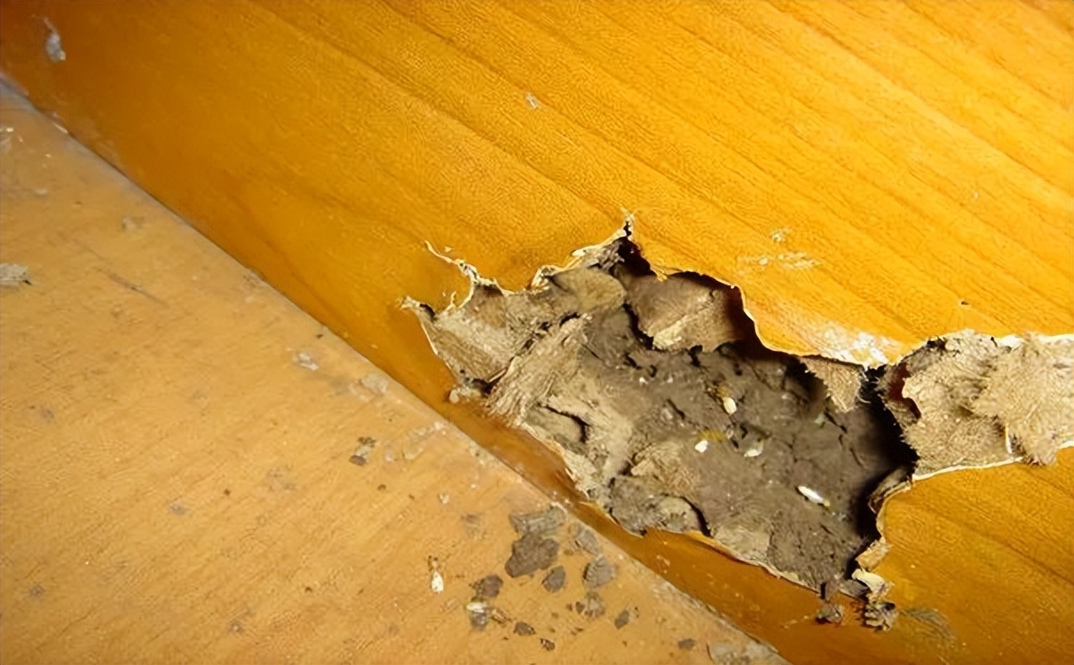 dnf大转移剧情是谁写的,dnf大转移太初之光