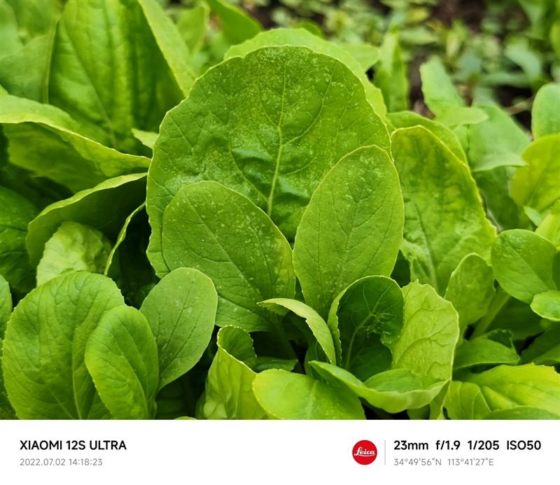 哪些手机的拍照功能媲美单反相机,拍照功能媲美单反的手机