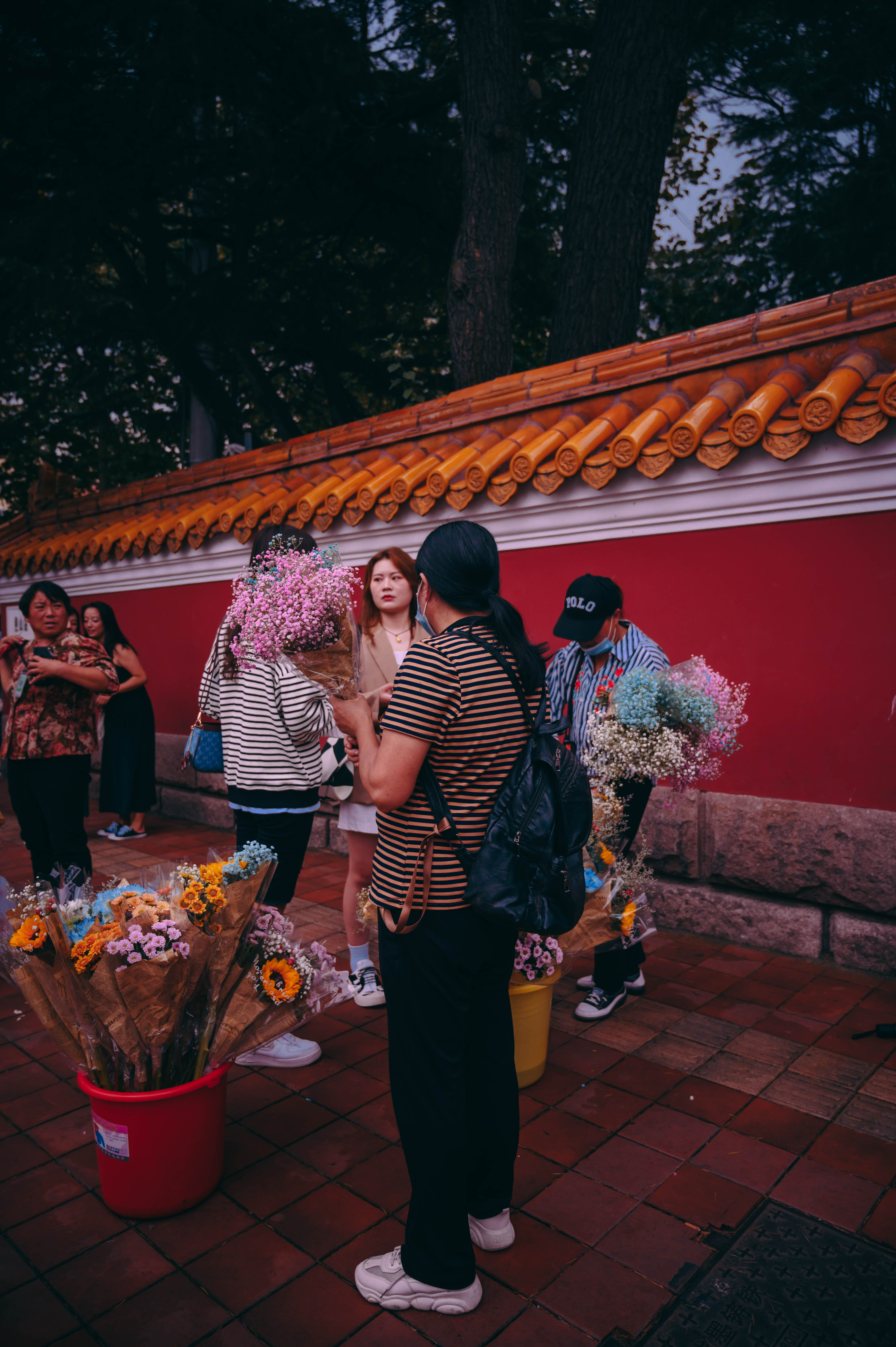 青岛世博园蔷薇花墙,青岛网红墙推荐