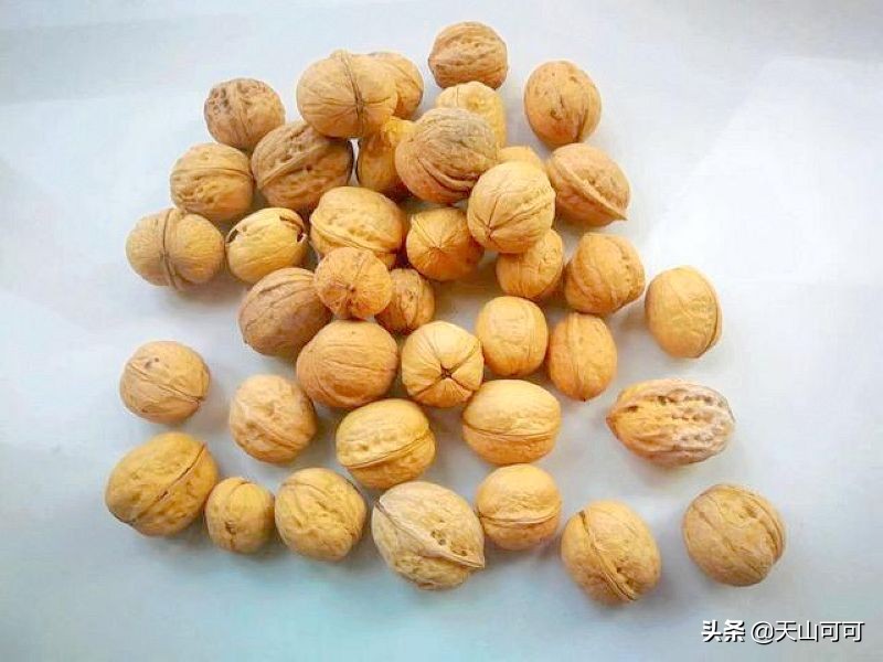 新疆干果坚果推荐,来自新疆的各种特色干果