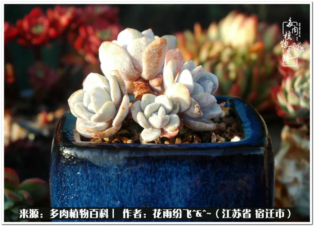 回味童年无忧无虑的快乐时光,童年最快乐的时光