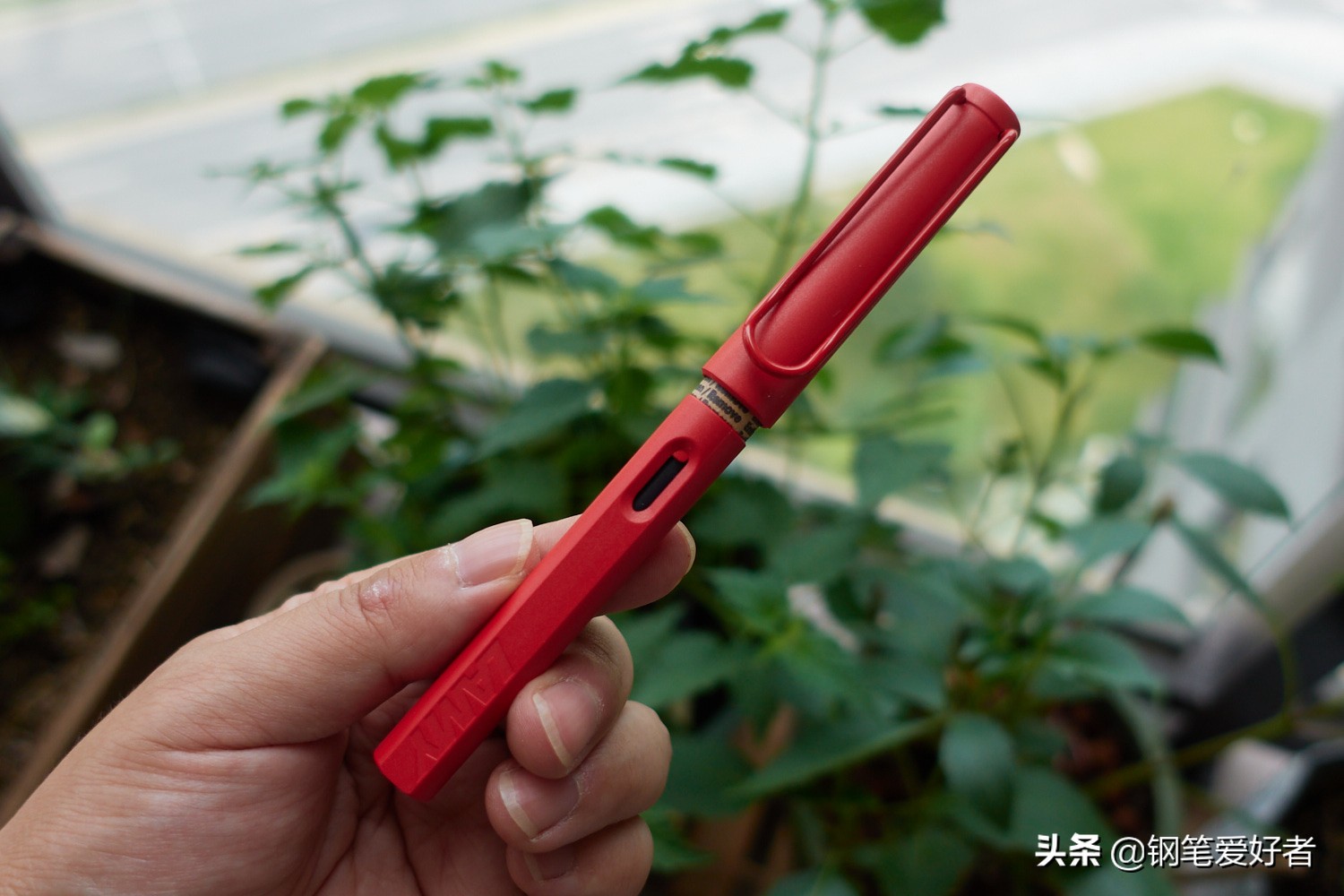 lamy凌美钢笔狩猎草原绿礼盒款,lamy凌美奶油色