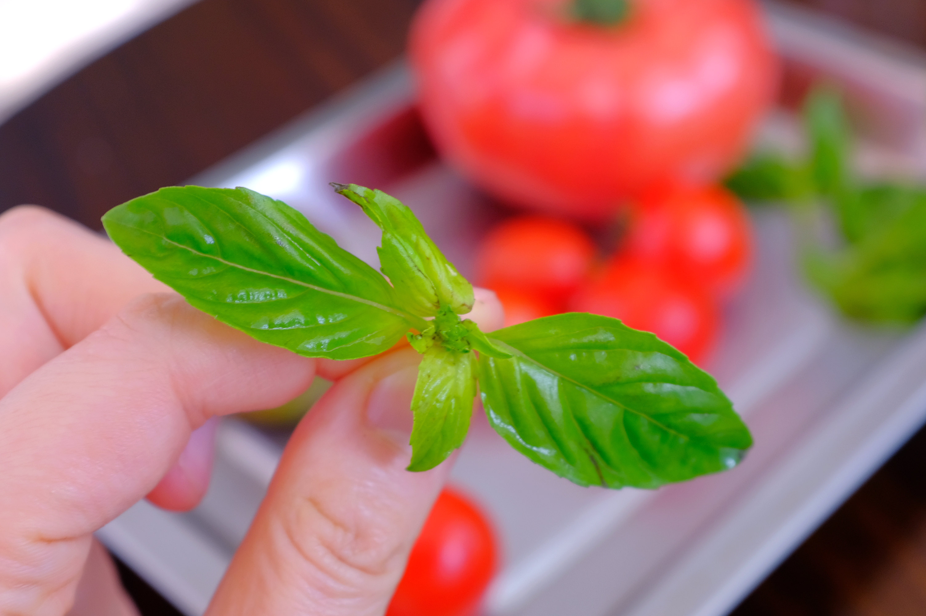 他帮她烧了一顿饭她便拥有了整个罗马