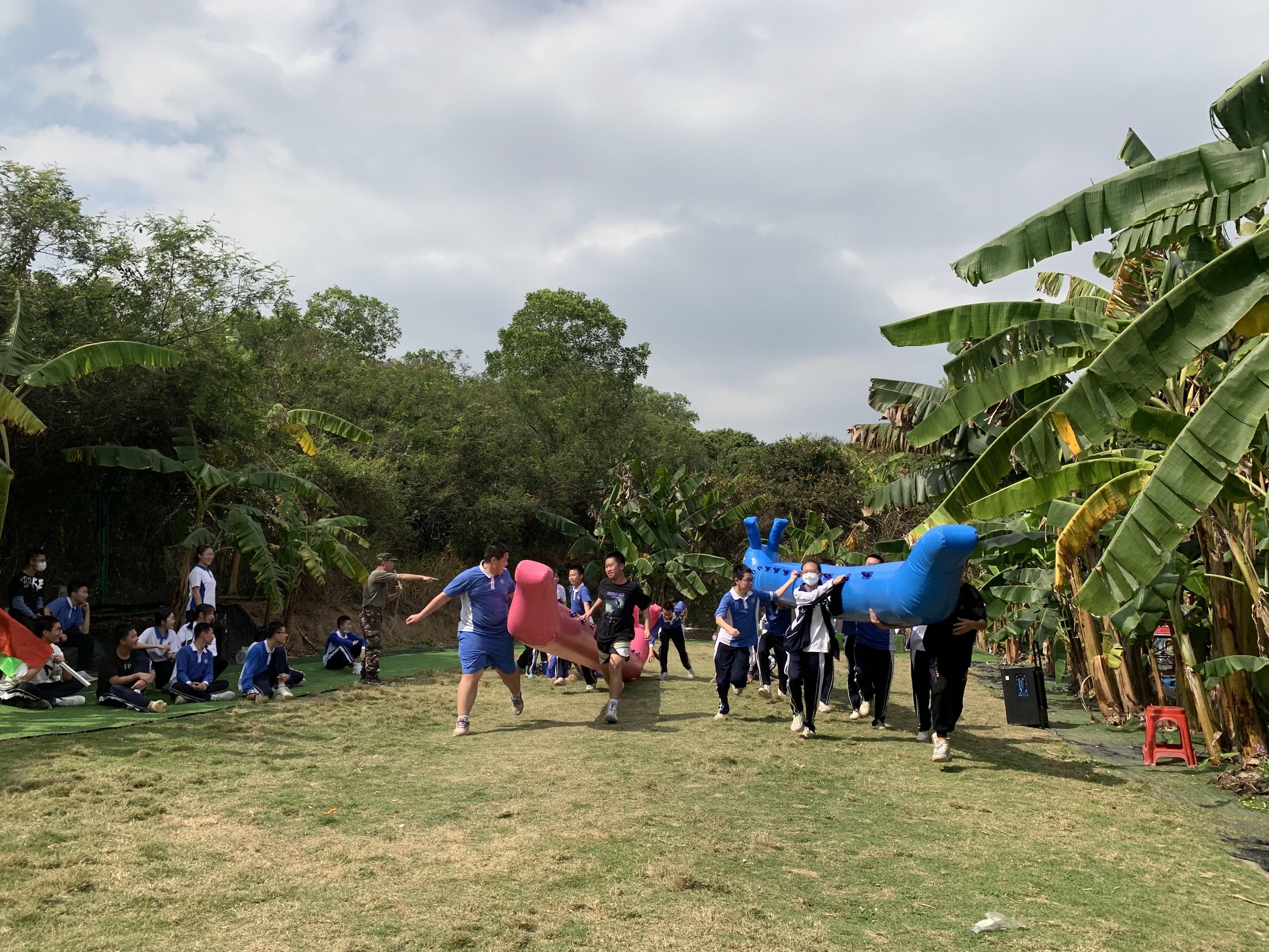 深圳最好的小猪农场,深圳农场适合亲子游的地方