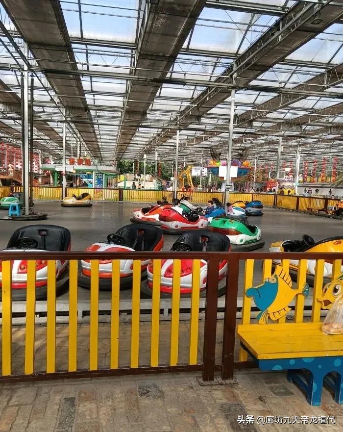 九天休闲谷花鸟鱼虫,九天休闲谷门票是多少钱