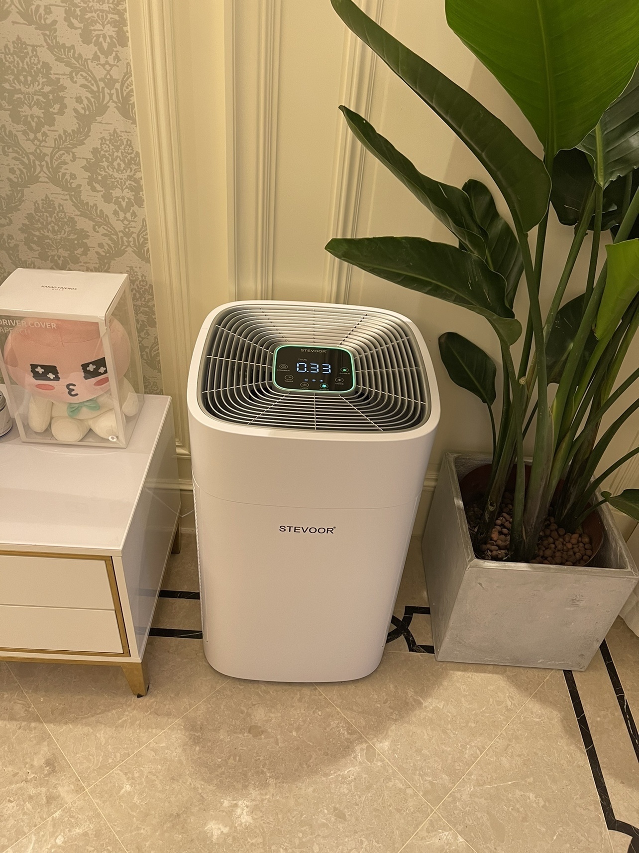 什么植物除甲醛最快最有效,什么植物除甲醛最快最有效又便宜