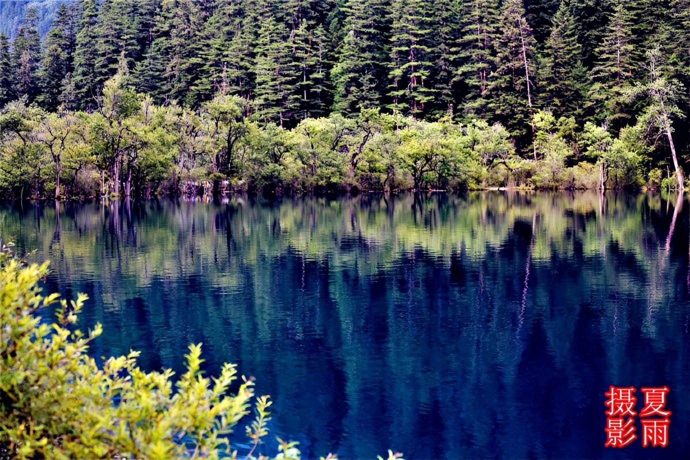 大美九寨沟之老虎海,九寨沟犀牛海与老虎海