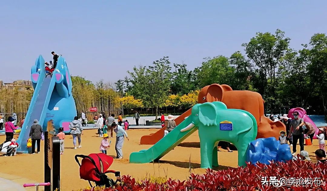 绿荫的夏天，快来解锁李沧这个小众宝藏之地！