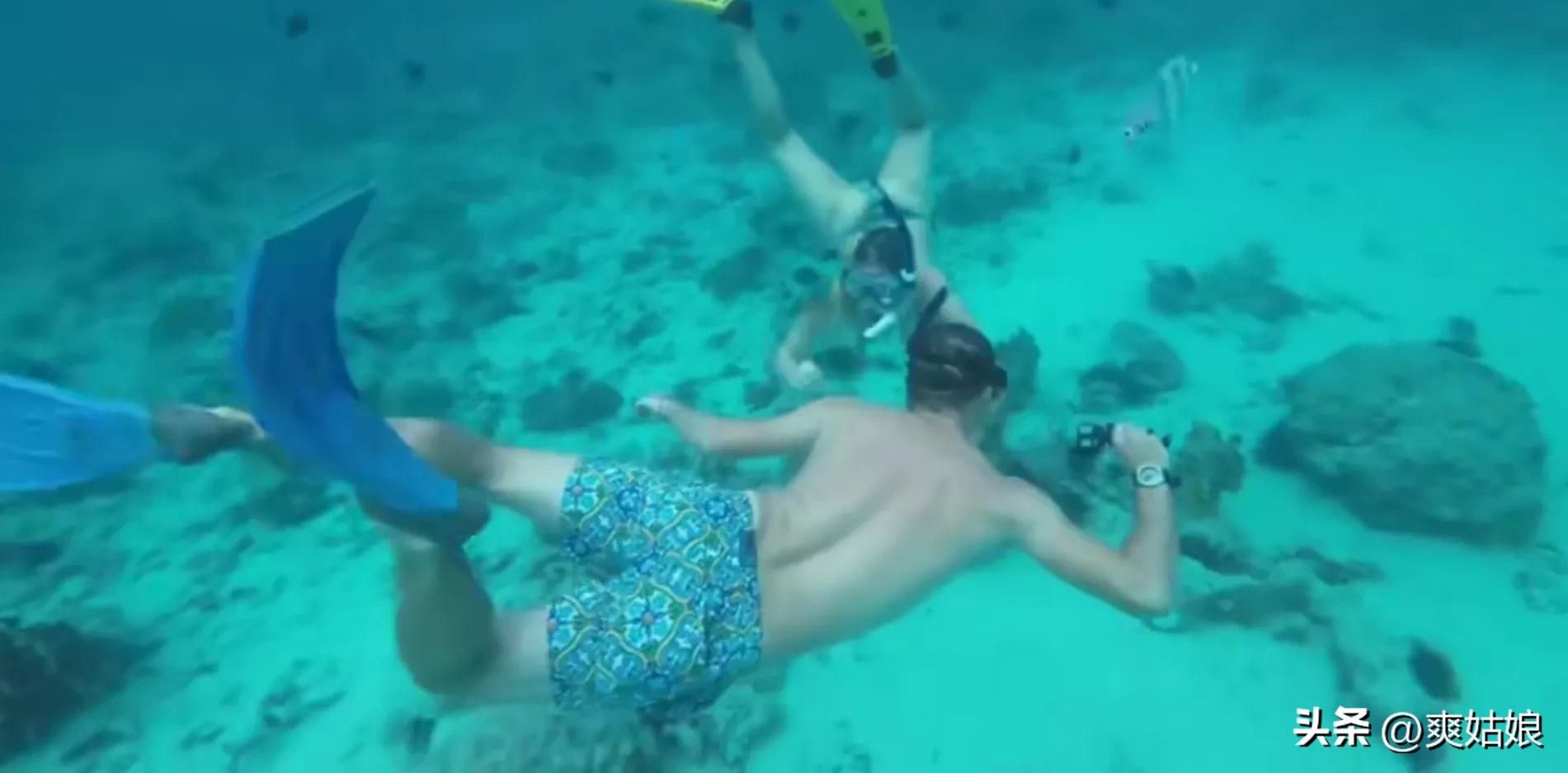 非洲小五带保镖游比尔盖茨买的岛，木头头见泳装美女，直呼太美