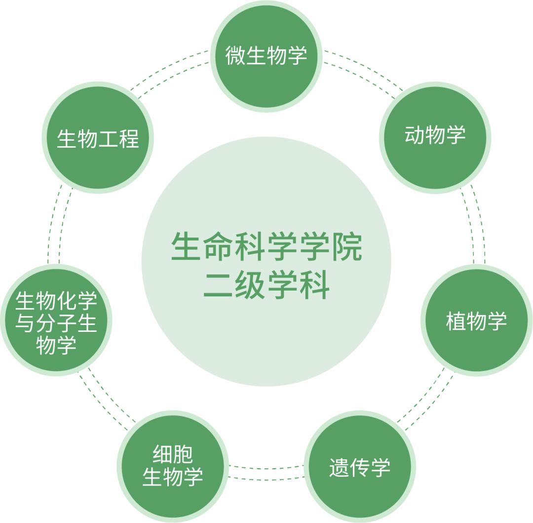 南开天大最强学科,南开大学整体数学实力