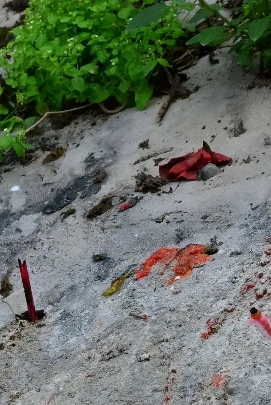 不应被隐入尘烟的重庆大坪角落，却是五十年前风华绝代的高贵