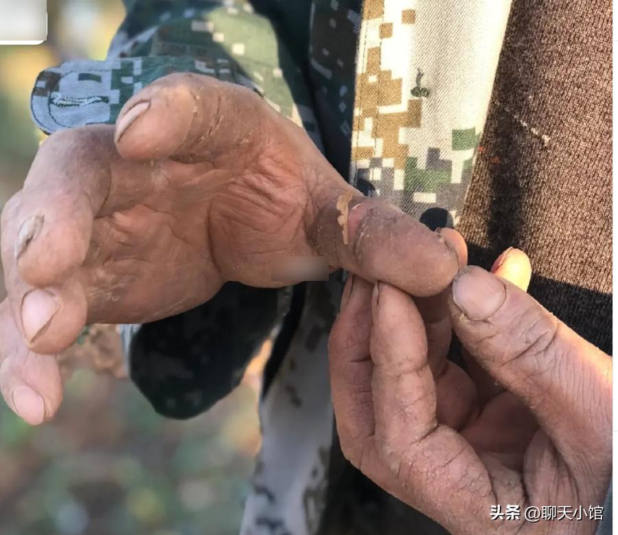 一张“农村小女孩帮忙麦收”照片惹众怒：收起你的傲慢与无知！